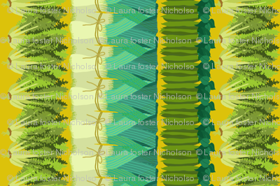 veg_stripes