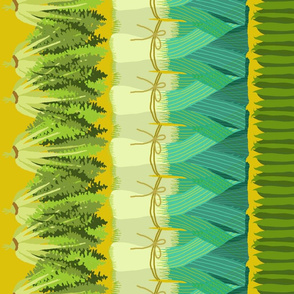 veg_stripes