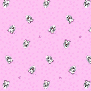 Poodles On Pink