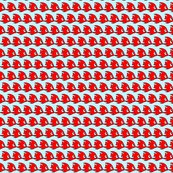 Rfishes2_shop_thumb