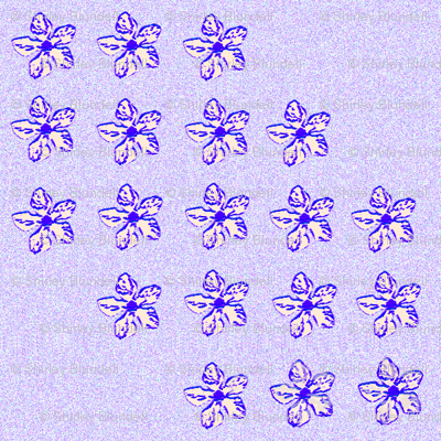 periwinkle-sketch