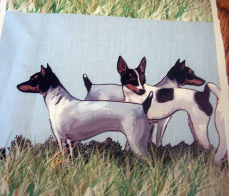 Toy Fox Terriers Group