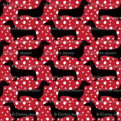 Polka Dachshunds