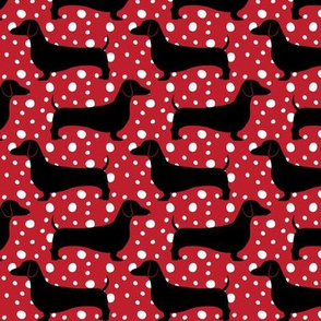 Polka Dachshunds