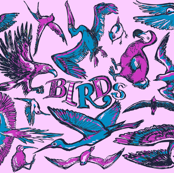 Birds Pink