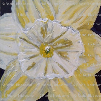 daffodill