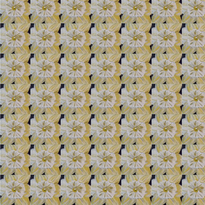 daffodill
