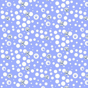 Maltese Boys On Blue