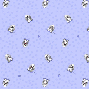 Poodles on Blue
