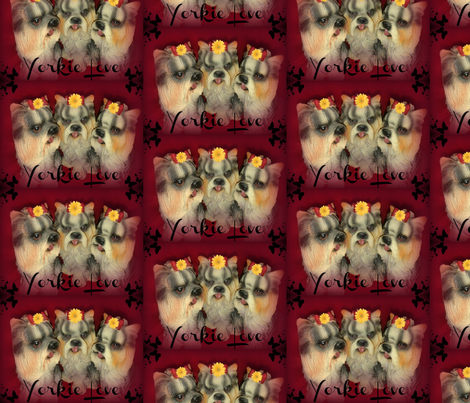 Yorkie Love fabric by mysisnme312 on Spoonflower - custom fabric