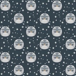 Owly