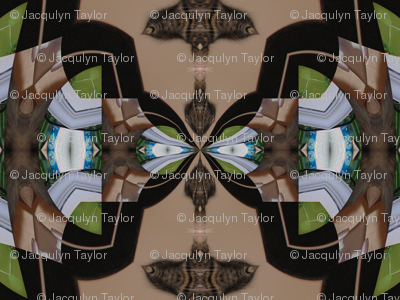 Kaleidescope 3616 v.5