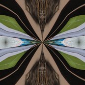 Rrrimg_3616