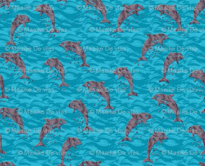 Dolphins