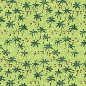 palm trees