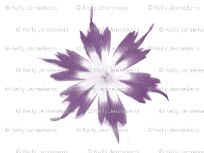 flower fade purple on white
