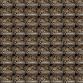 B_B