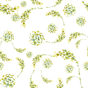 Vine Swirls