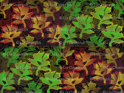 fall and spring leaves