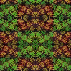 fall and spring leaves