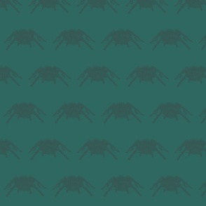 spidey senses
