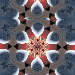 Kaleidescope 1098 v.2