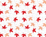 Rjapanesemaple_20-inch_thumb