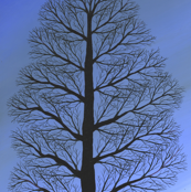 Blue Tree in Montana