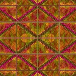 captured leaves