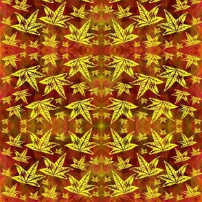 yellow leaves