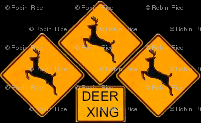 Deer Crossing and Crossing and Crossing