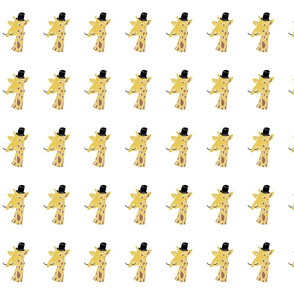mr giraffe