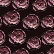 roses on dark