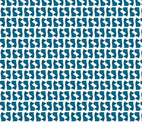 Rgatinho_azul_twin