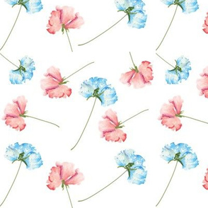 Pink Blue Roses