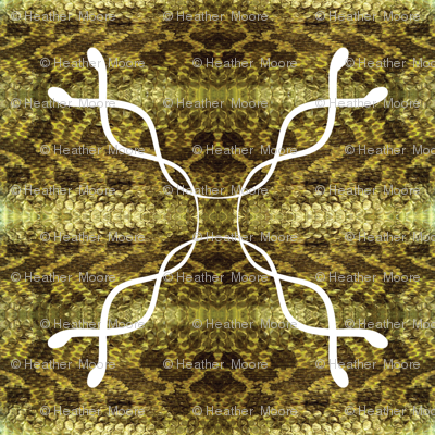 snakes-square
