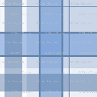 Blue and white plaid.