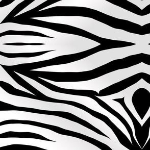 zebra-stripes-wall decal