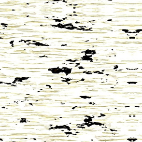 Birch Bark