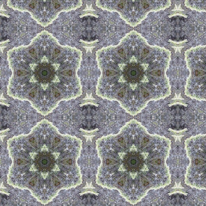 Spider Web Pattern