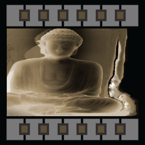My_Buddha_Bella fabric by designerg on Spoonflower - custom fabric