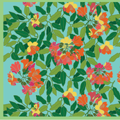 Rhododendron