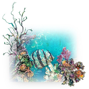Butterflyfish Swag LG