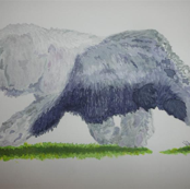 Old English Sheepdog