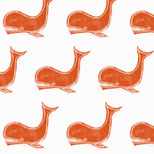 orange & white whale