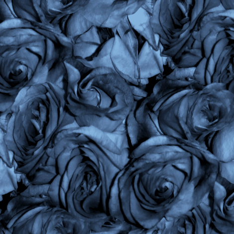 Chansons En Roses et Bleus