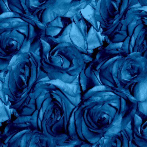 R3-873522_rrrroses2-012_shop_preview