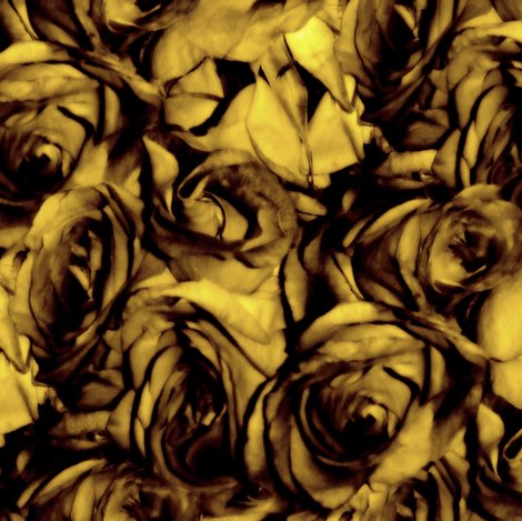 R7-873541_rrroses2-020_shop_preview