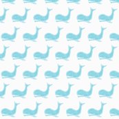 Rwhale_shop_thumb