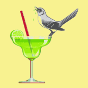 Tequila Mockingbird